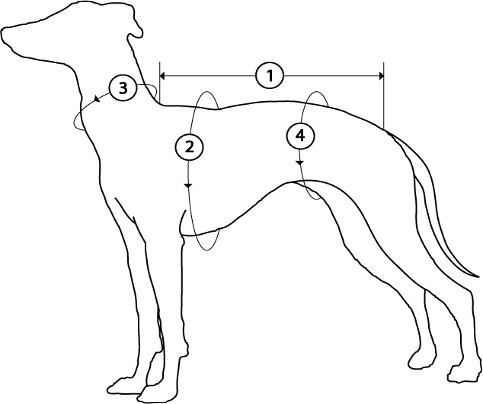 How to Measure a Dog