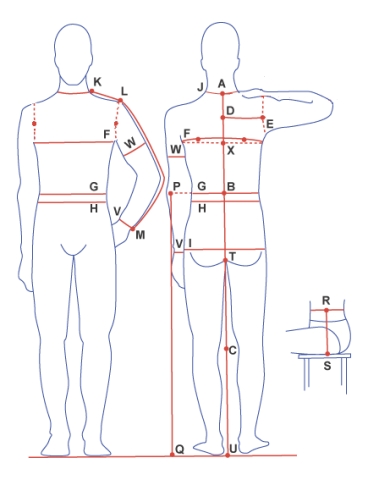 How to measure male body